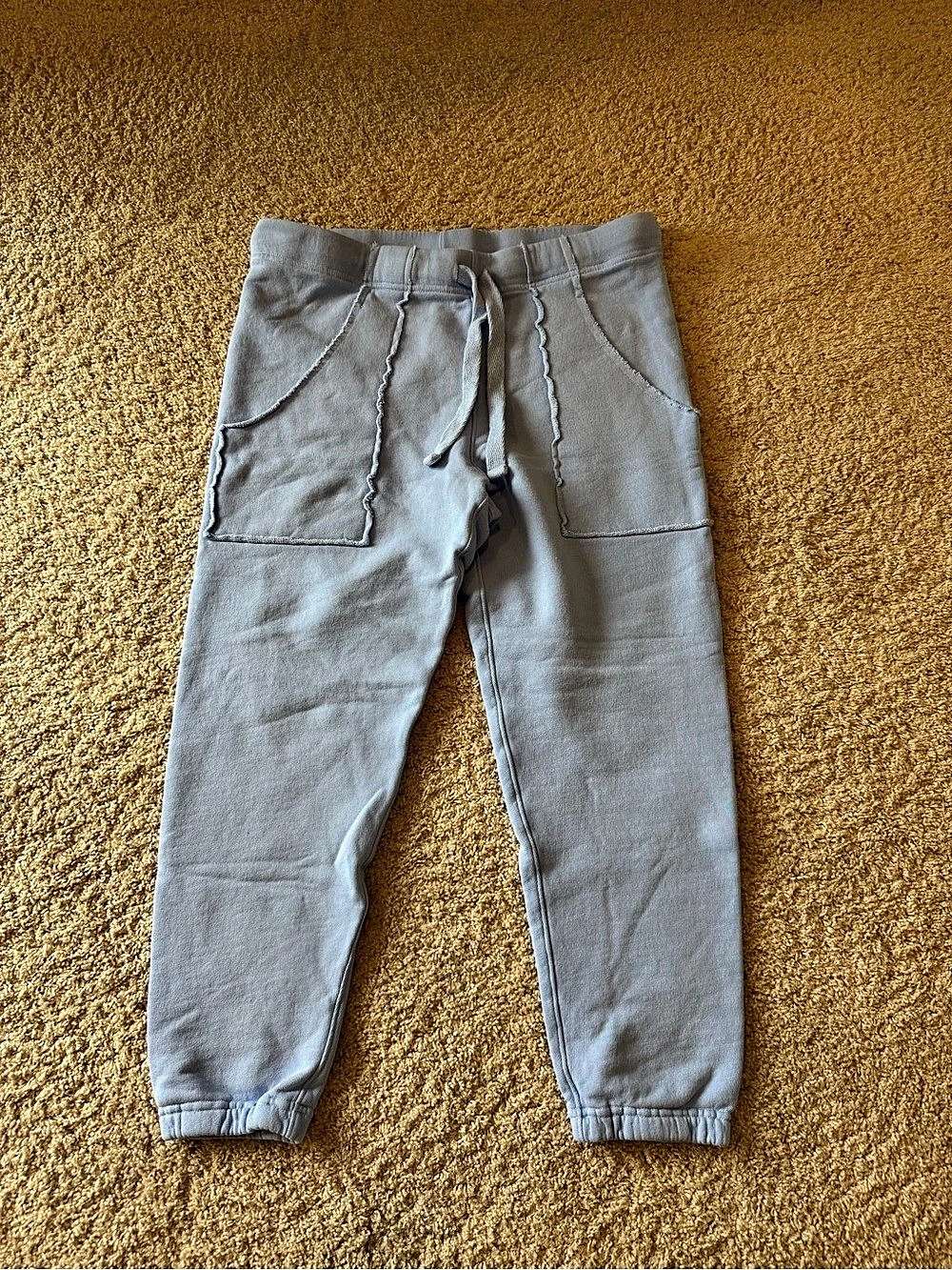 Frank & Eileen Eamon Jogger Sweatpant Cotton Blue Medium